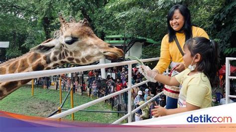 Pengunjung Kebun Binatang Surabaya Membludak Saat Libur Natal