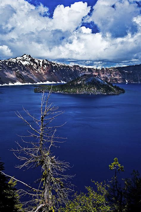 Crater Lake And Bare Tree Photograph By Cher Peterson Fine Art America