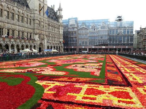 We did not find results for: Flower carpet in Brussels, Belgium. 2014 | Cool places to ...