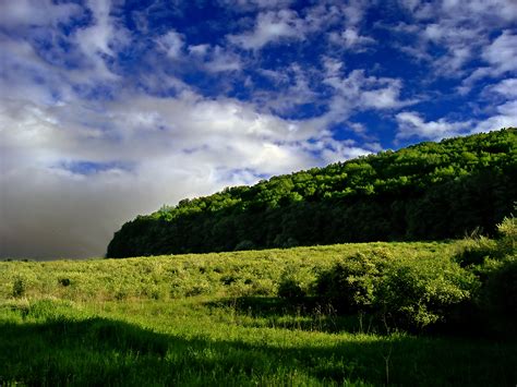 Free Images Landscape Tree Nature Forest Grass Horizon Mountain