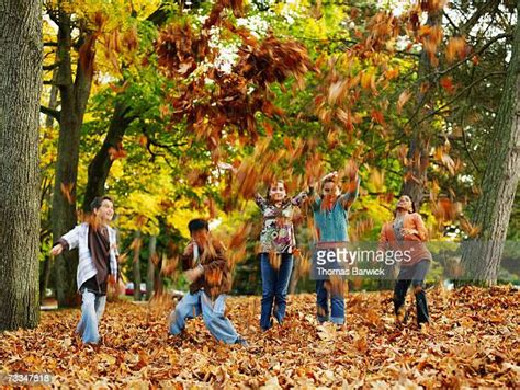 Black Kids Playing In Leaves Photos And Premium High Res Pictures