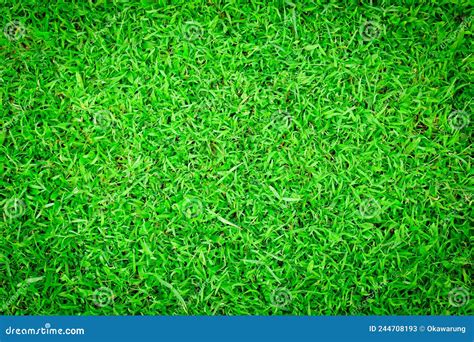 Green Grass Floor Texture Ideal For Use In The Design Backgroung Stock Image Image Of Green