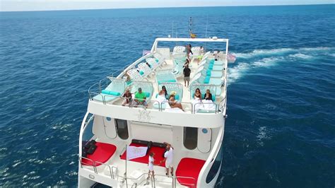 Vip Boat Excellence Dolphin Excursions Gran Canaria