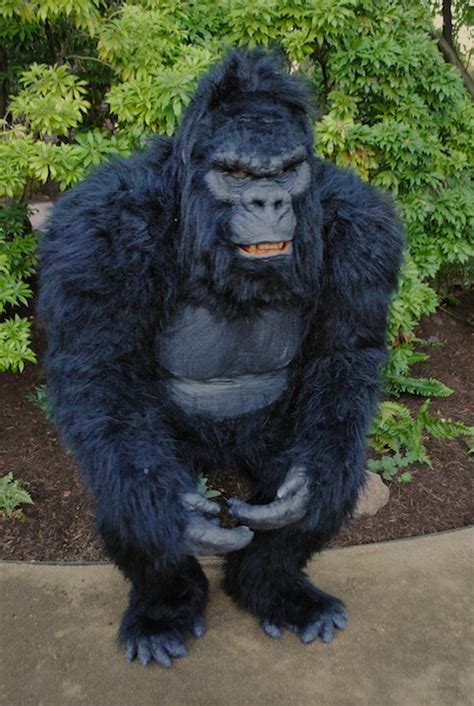 Hollywood Gorilla Men Chris Walass Build Up Gorilla Bashthe Final