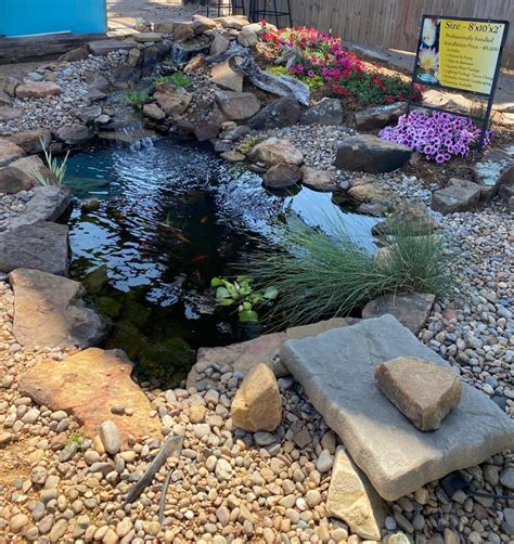There are 3242 koi pond for sale on etsy, and they cost ca$49.54 on average. We Built A Koi Pond - Acre Life DIY Project