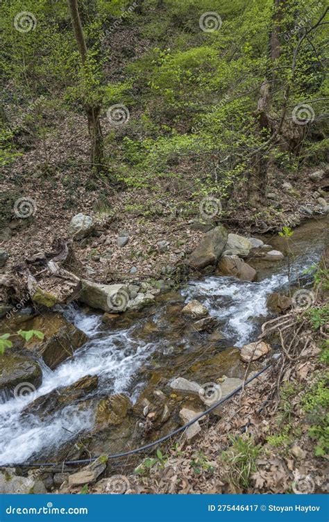 Waterfall At Crazy Mary River Belasitsa Mountain Bulgaria Stock Image