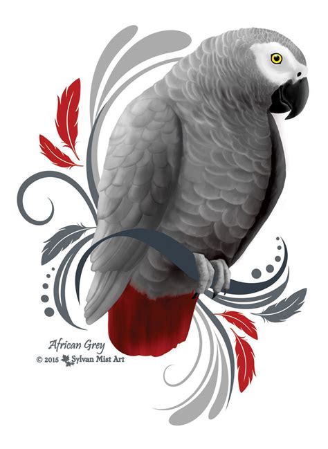 African Grey Parrot Artwork Design African Grey African Grey Parrot