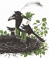 The Crows of Pearblossom Aldous Huxley ~ illustrations by Barbara ...