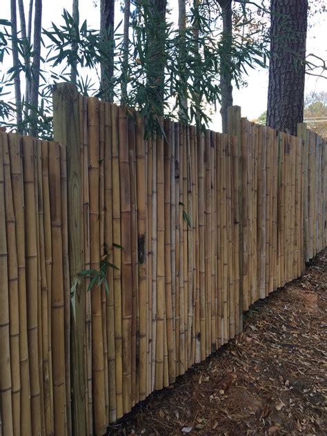 High End Bamboo Privacy Fence