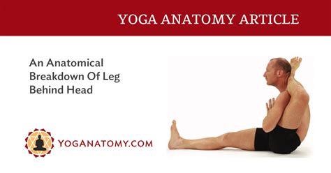An Anatomical Breakdown Of Leg Behind Head Yoganatomy