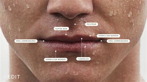 The Ultimate Guide To Mens Lip Filler The Aedition