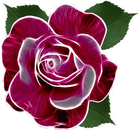 Rosespinkrozerosa