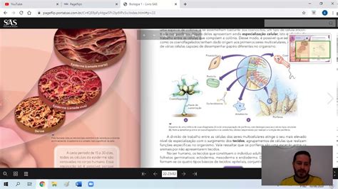 1º Ano Em Biologia Tecido Epitelial Profº Rafael Sovano Youtube