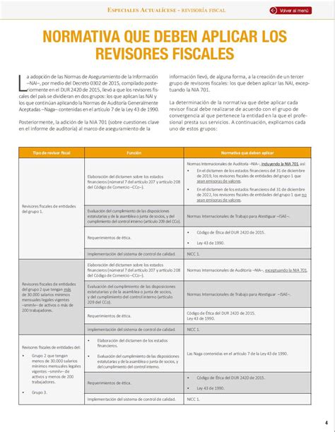 9 Puntos Indispensables Del Dictamen Del Revisor Fiscal Bajo Nia