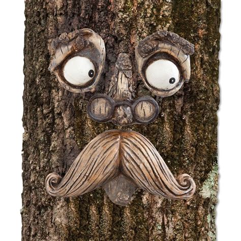 Tree Faces The Garden And Patio Home Guide