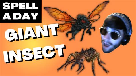 Giant Insect Big Bugs Spell A Day Dandd 5e 1 Youtube