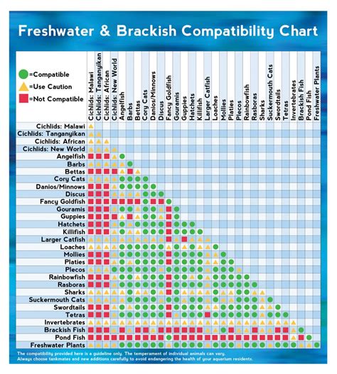 Freshwater And Brackish Fish Compatibility Chart Chart Infographic
