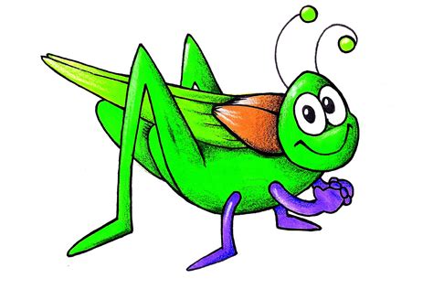 Cricket Pictures Insects Clipart Best
