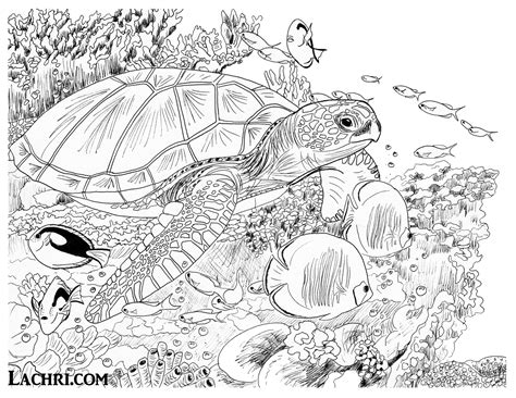 Bubbles under the sea so many bubbles and a young sea lady enjoying the show. Sea Turtle Colored Pencil tutorial - Lachri Fine Art