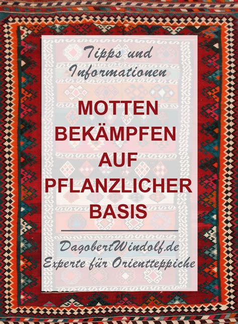 Ein gegen motten imprägnierter teppich enthält diese stoffe. Motten Im Teppich Hausmittel | Larven Von Kleidermotten