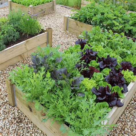 Advice For Raised Bed Vegetable Growers