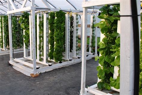 Hydroponic Tower Choose The Best Get Started With Ease