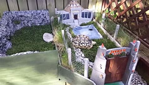 Guy Creates Miniature Jurassic Park For His Totally Awesome Tortoise