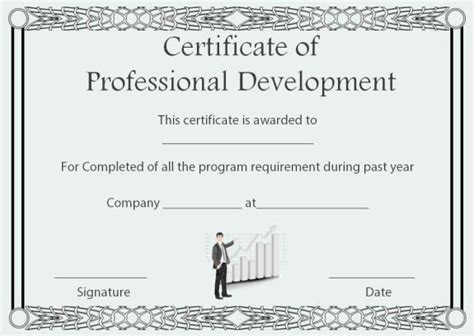 Professional Development Certificate Of Completion Template Education