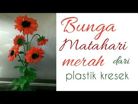 Sebagai tambahan, bunga matahari jenis velvet queen dapat menghasilkan 5 hingga 8 kelopak dalam satu tangkai. Red sunflower making from plastic bag || Bunga matahari ...