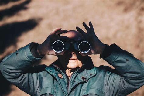 8 Best Binoculars For Birding And Bird Watching For Any Budget Birdinghub