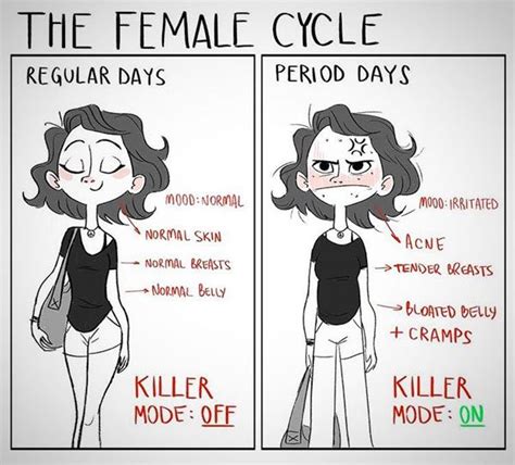 A Comic Strip With An Image Of A Woman S Face And The Words The Female Cycle Regular Days
