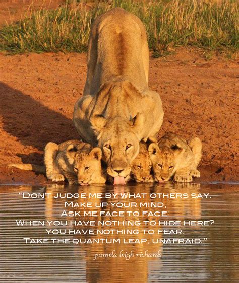 One of the best book quotes about lioness. Inspirational Quotes Lion Lioness. QuotesGram