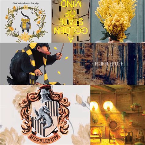 Hufflepuff Aesthetic Harry Potter Cute Harry Potter Hufflepuff