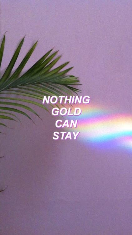 Also making the moments on nothing gold can stay is that it doesn't cross that line where you want to scream into the stereo get over it! nothing gold can stay on Tumblr