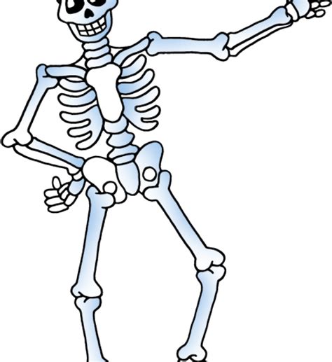 Skelton Clipart Free Skeleton Clipart Public Domain Cute Skeleton Clipart Png Download