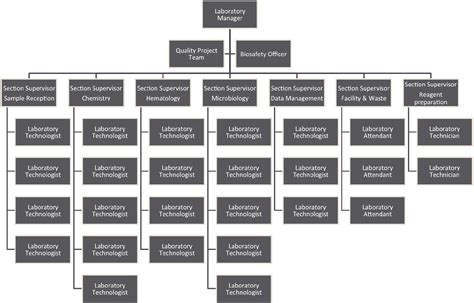 Laboratory Organizational Chart Template In Word And Pdf Formats