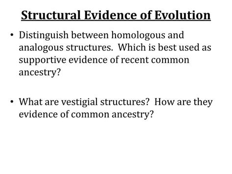 Ppt Structural Evidence Of Evolution Powerpoint Presentation Free