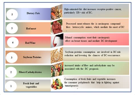 Figurative Description Of Dietary Factors Involved In Bc Incidence
