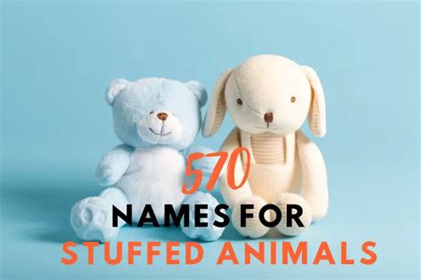 570 Names For Stuffed Animals Cute Funny Unique And More Fearless