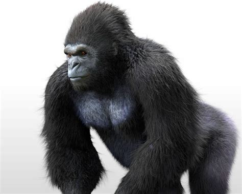 Artstation Gorilla 3d Model