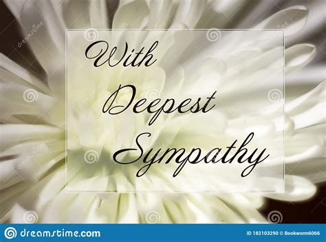 With Deepest Sympathy Banner Or Card Royalty Free Stock Photography