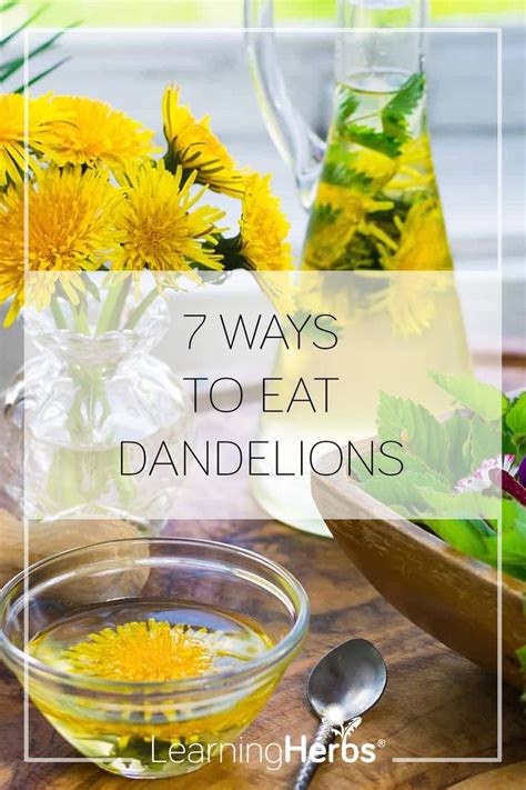 Eat Your Weeds 7 Ways To Eat Dandelions Eating Dandelions Dandelion