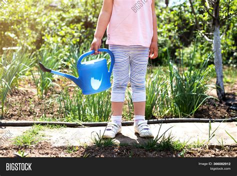 Little Girl Watering Image And Photo Free Trial Bigstock