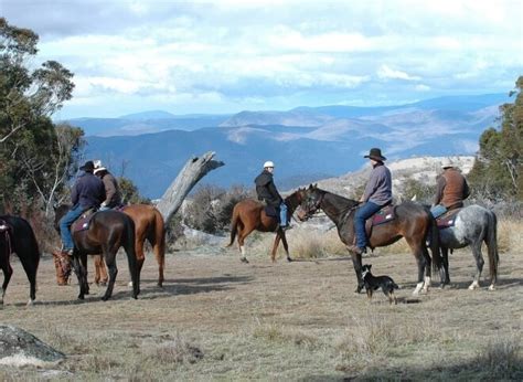 Horse Riding Part And Full Day Horse Rides Snowy Wilderness Australia