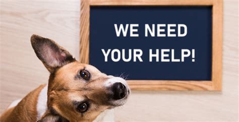 Corporate Support Rescue Warrington Animal Welfare