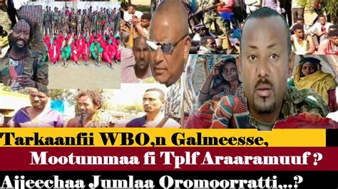 Oduu Ammee Wbon Tarkaanfii Waraana Pp Irratti Fudhatetplf Fi