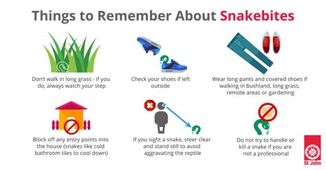 Snake Bite First Aid
