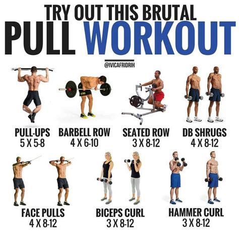 Pull Workout Pull Day Workout Push Workout Push Pull Workout
