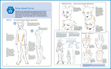 How To Draw Manga Furries The Complete Guide To Anthropomorphic