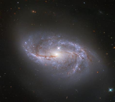 Meet ngc 2608, a barred spiral galaxy about 93 million light years away, in the constellation cancer. Hubble Space Telescope Spots One Stunning Galaxy Among Millions | Hubble space telescope, Space ...